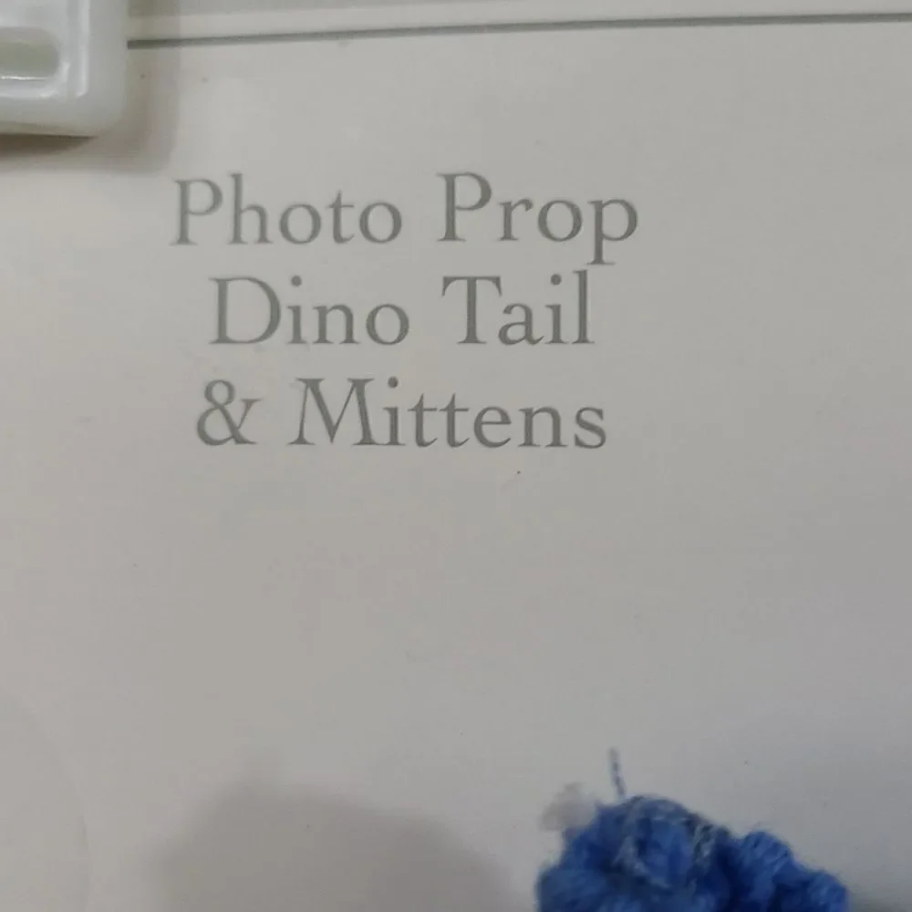 Baby Dinosaur Photo Prop 0-6M Crochet Dino Tail Mittens Newborn Costume NWT